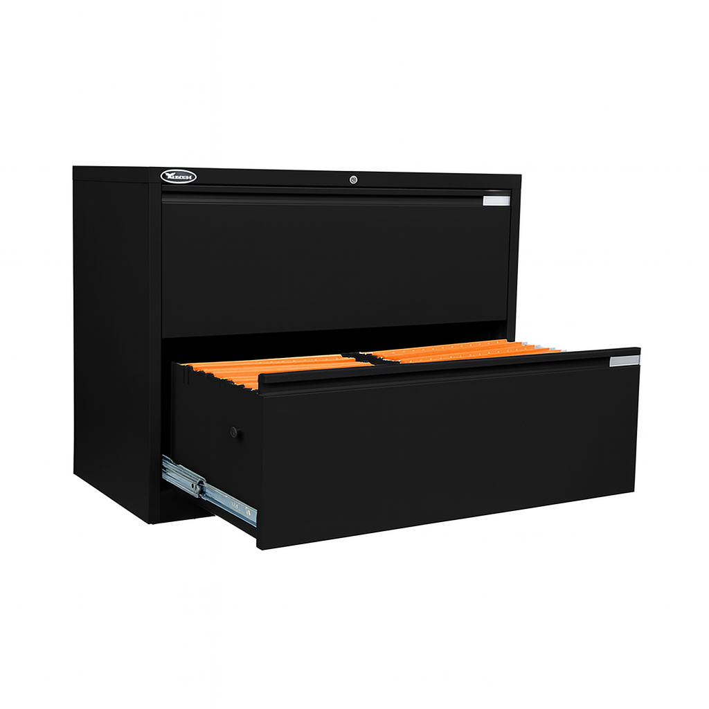 Lateral 2 Drawer File | TM